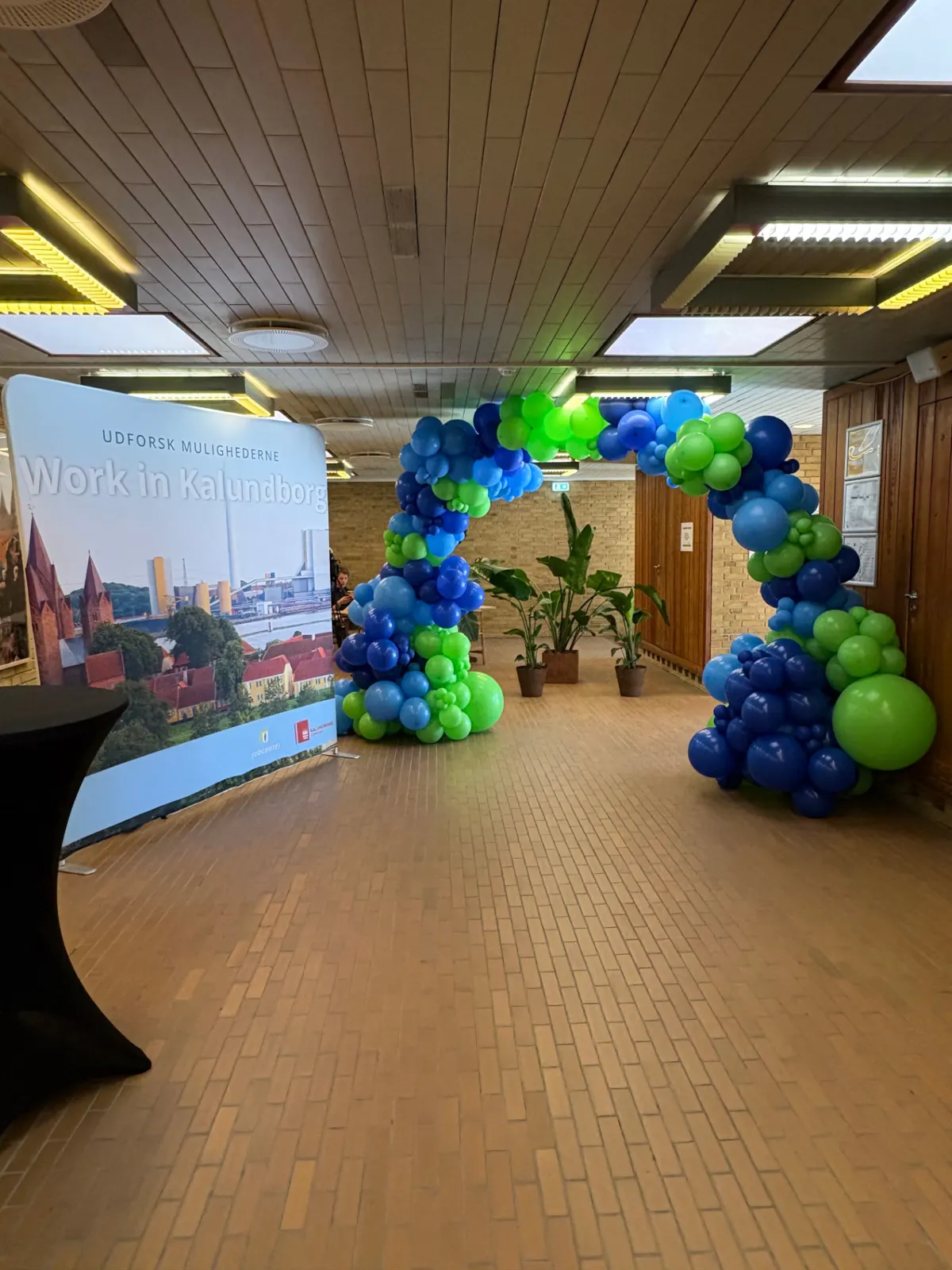 Ballonport i kommunens farver i forhallen med grønne planter