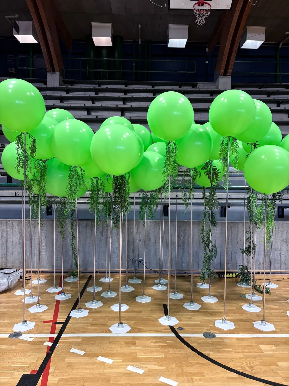 73 grønne balloner på stativ med grøn dusk klar til at blive fordelt i hallen